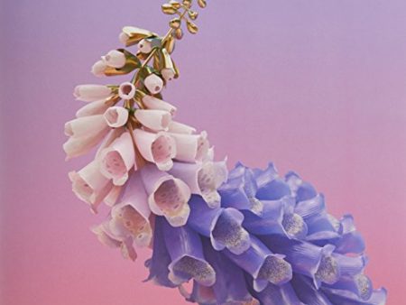 FLUME - SKIN (LIMITED EDITION) (VINYL) Online